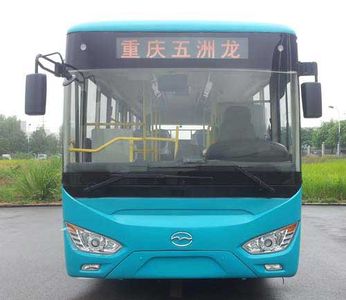 Wuzhoulong  WZL6100G4 City buses