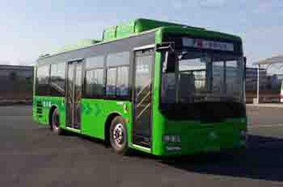 Shaolin  SLG6950T5GZR City buses