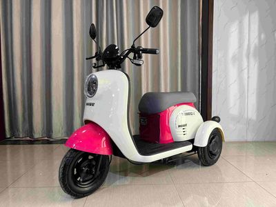 Shenzhou Fuxing  FX500DQZ3 Electric three wheeled light motorcycle