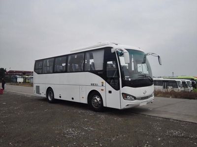 HagridKLQ6902KAE52coach