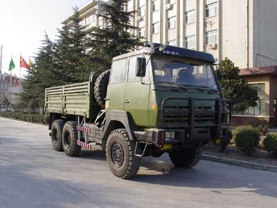 Shaanxi AutomobileSX2190MNOff road cargo vehicle