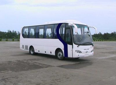 Mu Yang  MY6803 coach