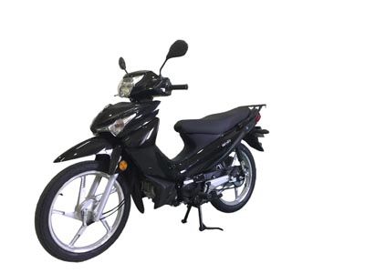 Qingqi Suzuki  QS1103 Two wheeled motorcycles