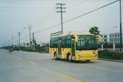 Friendship  ZGT6803DH City buses