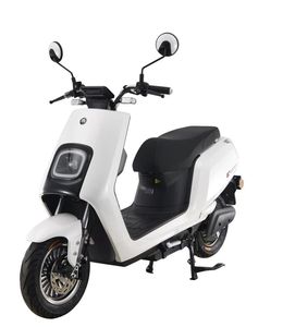 Emma  AM500DQT24D Electric two wheeled light motorcycle