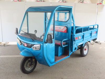 Zhaocai Niu  ZCN2200DZH6A Electric tricycle