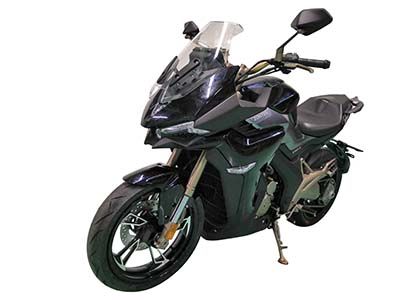 Shengshi  ZT300X1 Two wheeled motorcycles