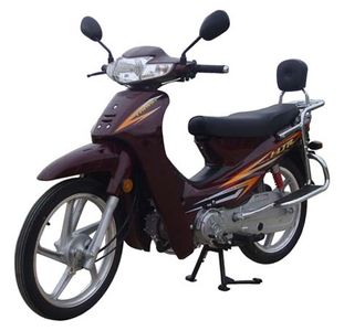 Lingken  LK1102E Two wheeled motorcycles