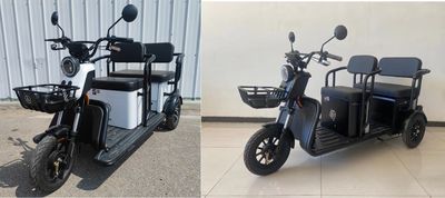 Wanshida  WSD1200DZK Electric tricycle