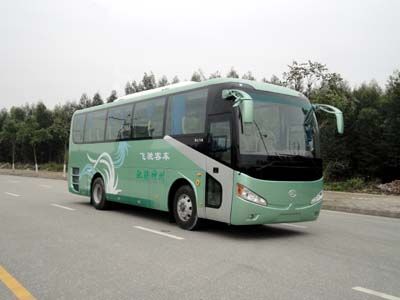 Feichi  FSQ6970DC coach