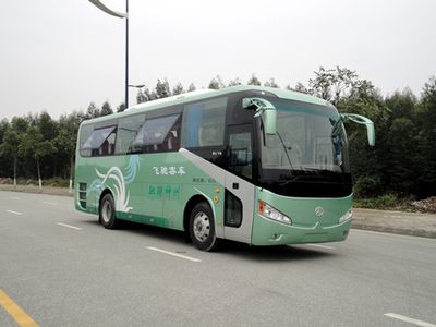 Feichi  FSQ6970DC coach