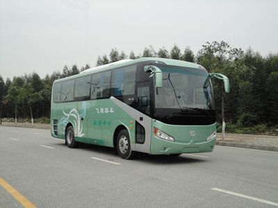 Feichi  FSQ6970DC coach