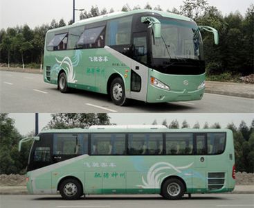 Feichi  FSQ6970DC coach