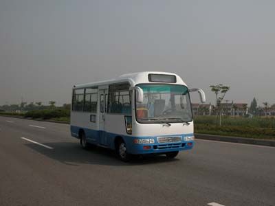 Friendship  ZGT6602N3G Light Bus