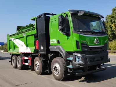 Wanglongwei WLW5310ZLJLZEVBattery swapping pure electric dump garbage truck