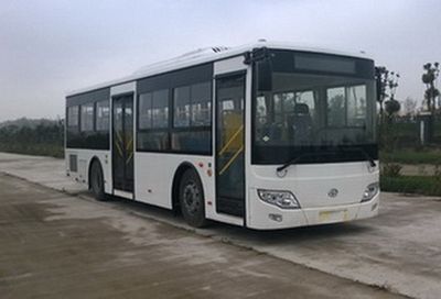 Diamond SGK6100GKN12City buses