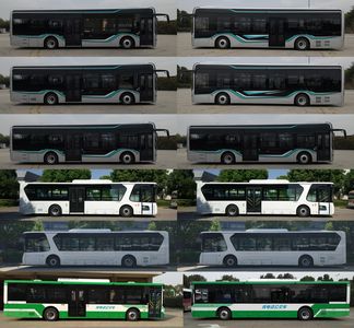 Hagrid KLQ6126GAEVN1 Pure electric city buses