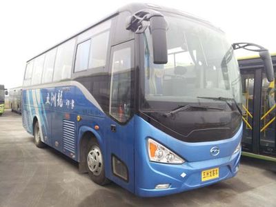 Wuzhoulong WZL6900NA5coach