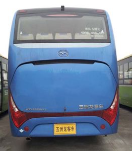 Wuzhoulong  WZL6900NA5 coach