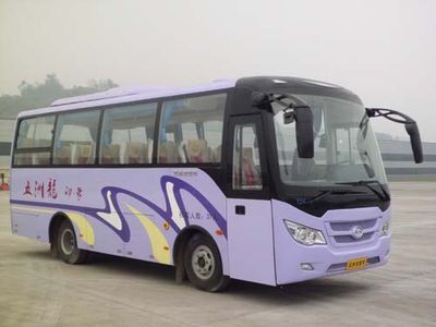 Wuzhoulong  WZL6781NAT4 coach