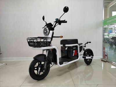 Xingshida brand automobiles XSD1000DQZ Electric three wheeled light motorcycle