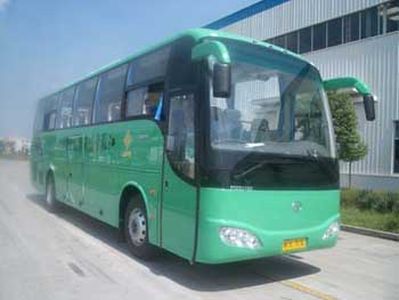 Medium to large  YCK6117HP coach