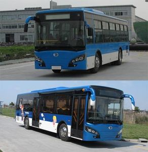 FORTA FZ6106UF63 City buses