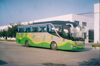 Wuzhoulong  FDG6123L Tourist buses