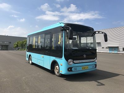 Enard HZK6651BEVH Pure electric passenger cars