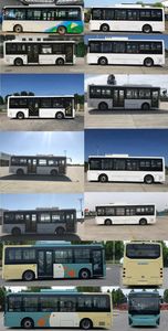 Skyworth NJL6809EV9 Pure electric city buses