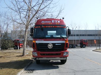 Hongchang Tianma  HCL3313BJV43P8E4 Flat dump truck