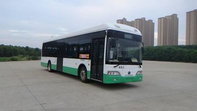 Yangtze River brand automobiles WG6120BEVHM7 Pure electric city buses