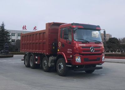 Dayun  CGC3310D6DDAV Dump truck