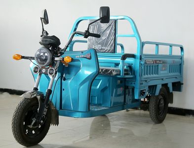 Tailing  TL1000DZH2B Electric tricycle