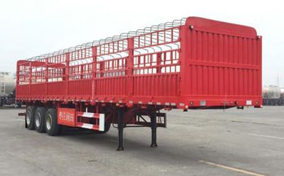 Tianyuxing  ZRT9370CCY Gantry transport semi-trailer