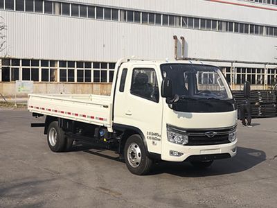 Foton  BJ1045V9PBA21 Truck