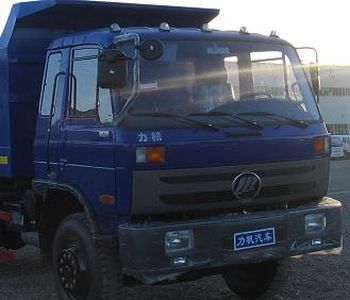 Lifan  LF3120G1 Dump truck