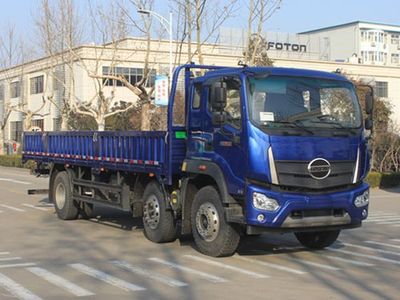 Foton  BJ1254VNPFE01 Truck