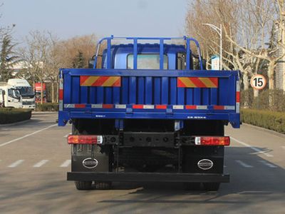 Foton  BJ1254VNPFE01 Truck