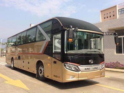 Jinlong  XMQ6127CYD5D coach