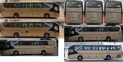 Jinlong  XMQ6127CYD5D coach