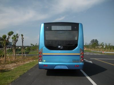 Friendship  ZGT6910NHS City buses