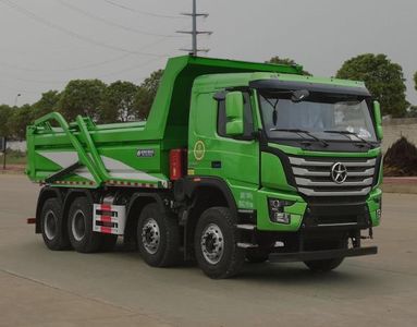 Dayun  CGC3310D5DDND Dump truck