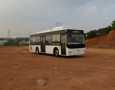 CSR TimesTEG6106NG03City buses