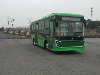 Guangke  GTZ6819BEVB1 Pure electric city buses