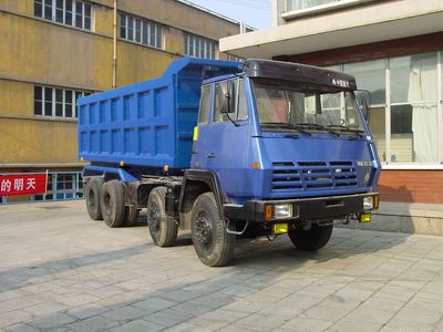 Qingzhuan  QDZ3311S Dump truck