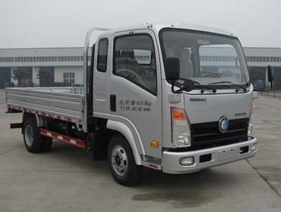 Ace car CDW1042HA1A4 Truck