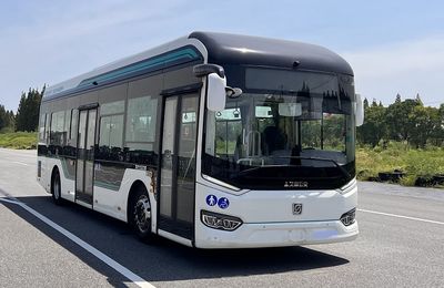 Shenwo  SWB6109EV17G Pure electric low floor city buses