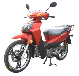 Honghonglie  HL11011H Two wheeled motorcycles