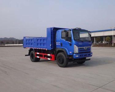 Shitong  STQ3161L03Y3N6 Dump truck